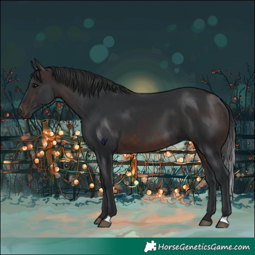 Horse Color:Brown 