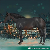 Horse Color:Brown 