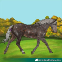 Horse Color:Silver Brown 