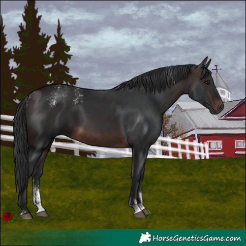 Horse Color:Powder White Brown 