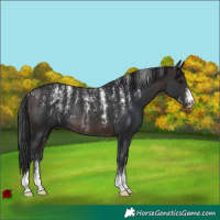 Horse Color:Powder White Brown Rabicano 