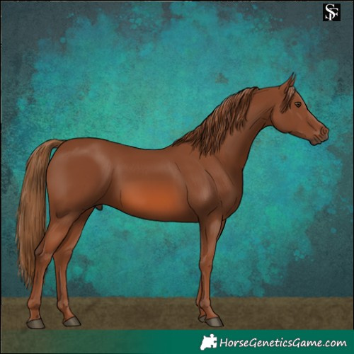 Horse Color:Chestnut 