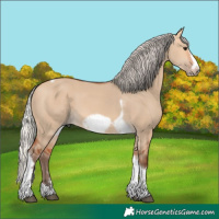 Horse Color:Silver Bay Dun Sabino Tobiano Frame Rabicano