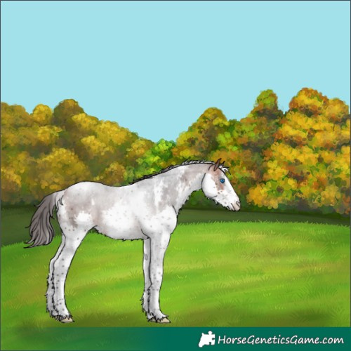Horse Color:Brown Sabino Splash Tobiano Varnish 