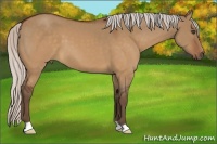 Horse Color:Silver Brown Dun 