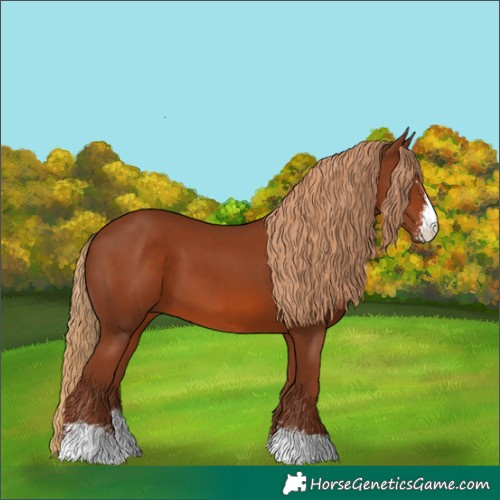 Horse Color:Chestnut Sabino 
