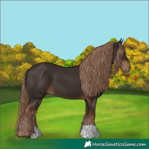 Horse Color:Liver Chestnut