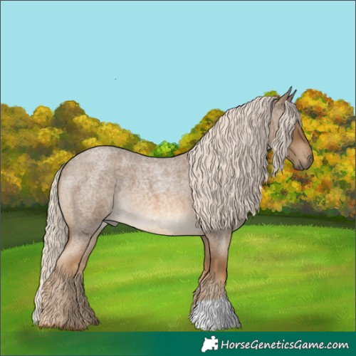 Horse Color:Chocolate Palomino Roan