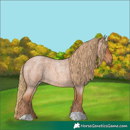 Horse Color:Red Roan 