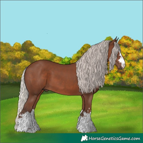 Horse Color:Silver Black 