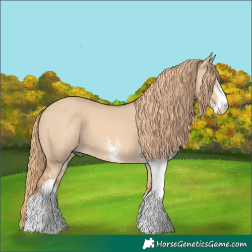 Horse Color:Red Dun Sabino 
