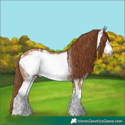 Horse Color:Red Dun Sabino Frame