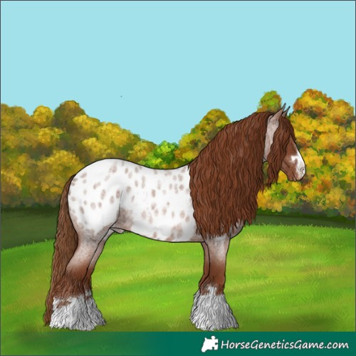 Horse Color:Red Roan Blanket