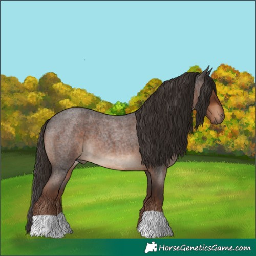Horse Color:Liver Red Roan 