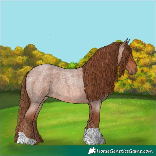 Horse Color:Red Roan 