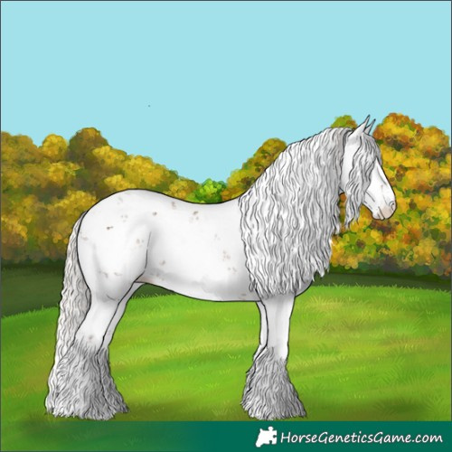 Horse Color:Silver Black Sabino