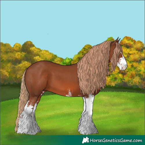 Horse Color:Chestnut Sabino