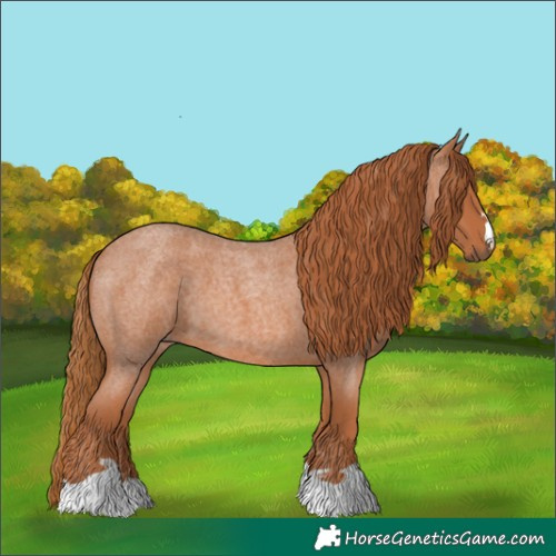 Horse Color:Red Roan