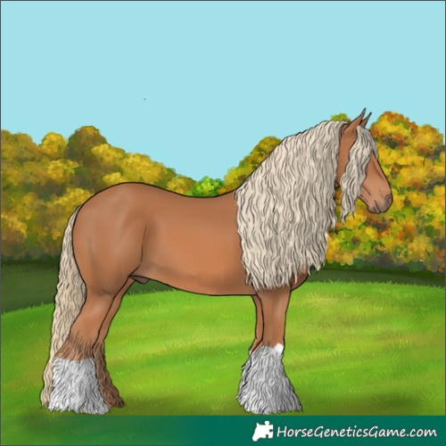 Horse Color:Chestnut 