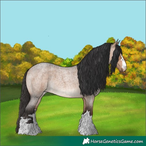 Horse Color:Bay Roan Dun Brindle 