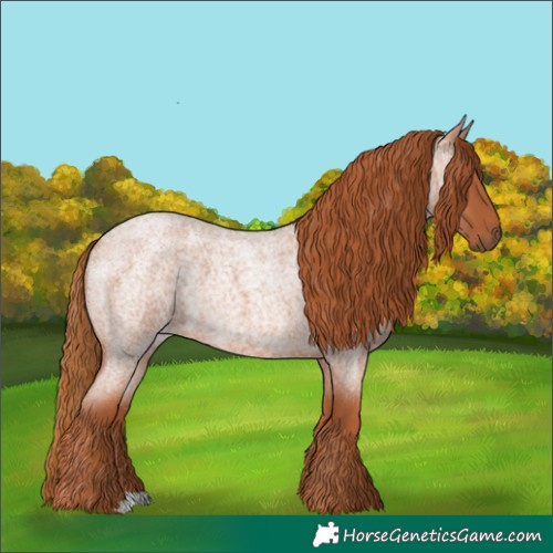 Horse Color:Red Roan 