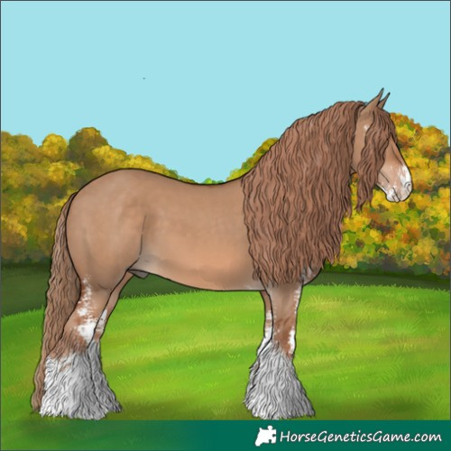 Horse Color:Red Dun Sabino 