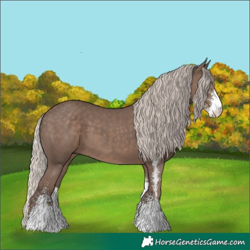Horse Color:Silver Black Sabino