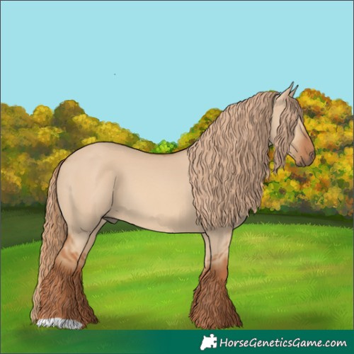Horse Color:Red Dun 