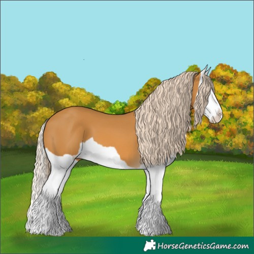 Horse Color:Palomino Splash