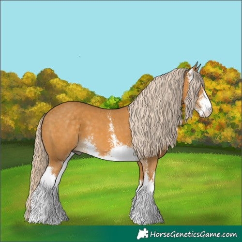 Horse Color:Palomino Sabino