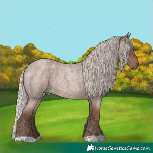 Horse Color:Silver Blue Roan 