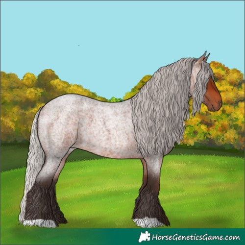 Horse Color:Silver Brown Roan 