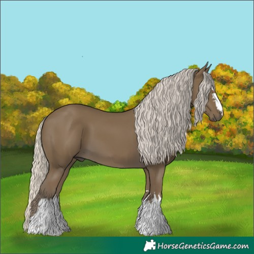 Horse Color:Silver Smoky Black 