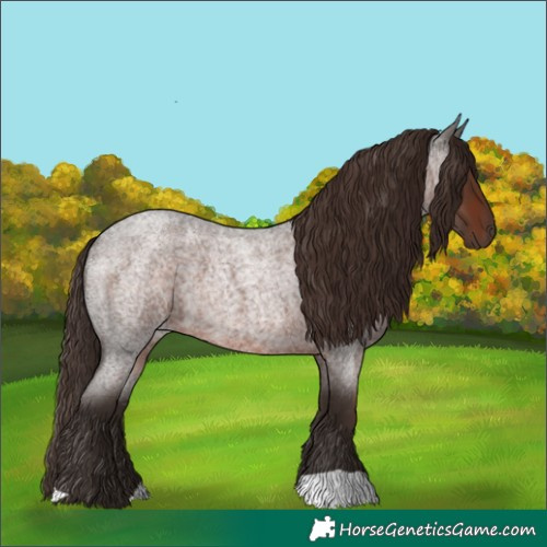 Horse Color:Liver Red Roan