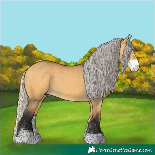 Horse Color:Silver Buckskin Dun Sabino 