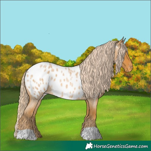 Horse Color:Palomino Roan Near Leopard
