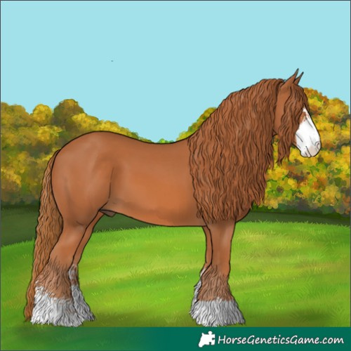 Horse Color:Chestnut Sabino 