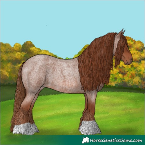 Horse Color:Red Roan 
