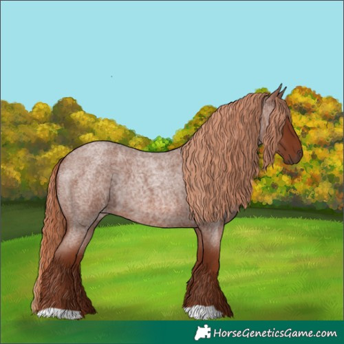 Horse Color:Red Roan