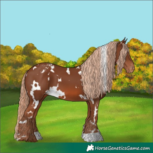 Horse Color:White Spotted Chestnut Varnish 