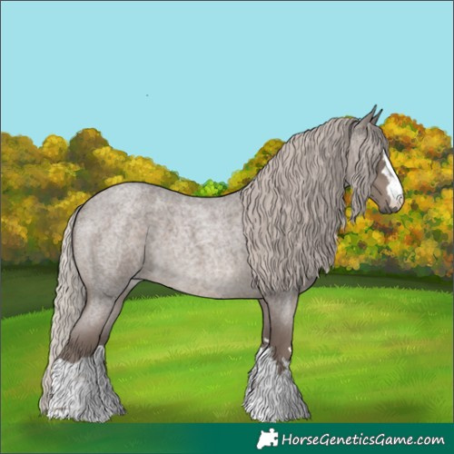 Horse Color:Silver Blue Roan 