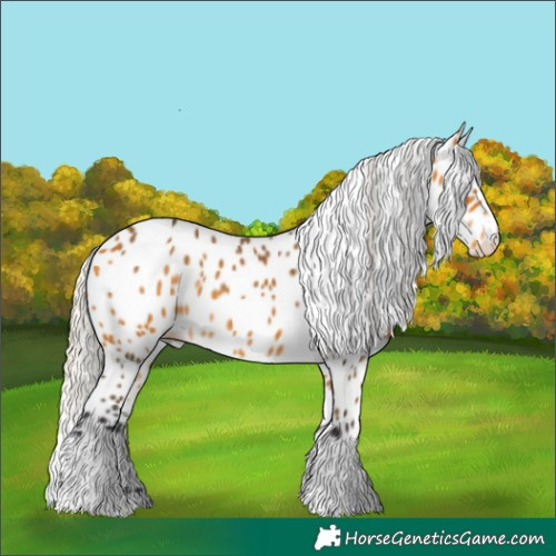 Horse Color:Silver Buckskin Leopard 