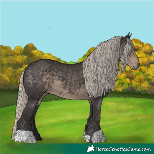 Horse Color:Silver Smoky Black