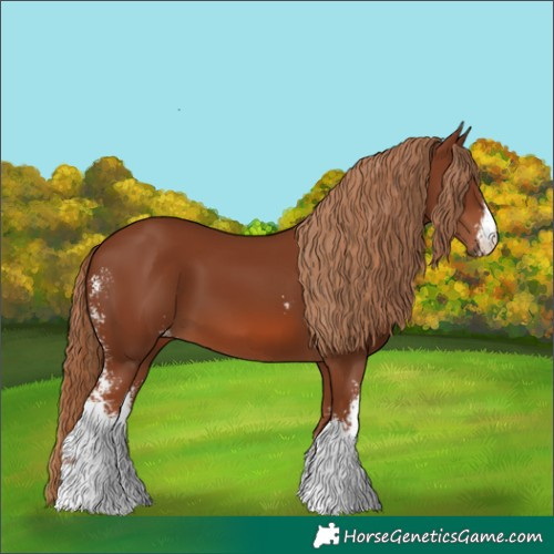 Horse Color:Chestnut Sabino