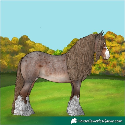Horse Color:Liver Red Roan 
