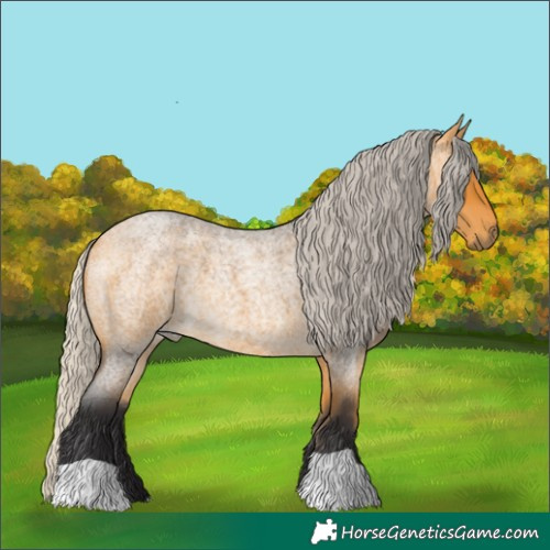 Horse Color:Silver Buckskin Roan 