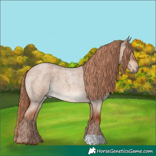 Horse Color:Red Dun Roan 