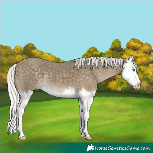 Horse Color:Silver Smoky Black Splash 