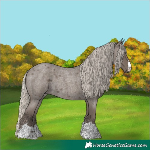 Horse Color:Silver Smoky Blue Roan