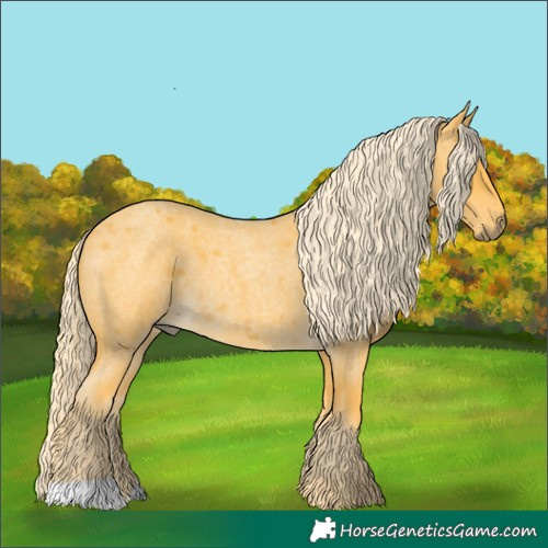 Horse Color:Palomino Roan 